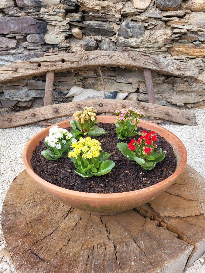Coja Villa Alva Guest House מראה חיצוני תמונה