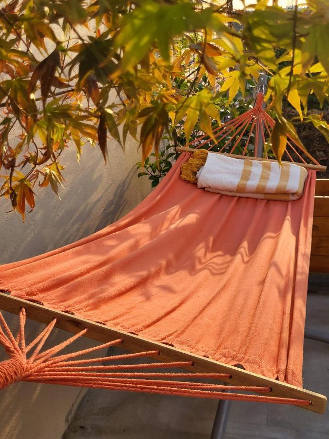 Coja Villa Alva Guest House מראה חיצוני תמונה