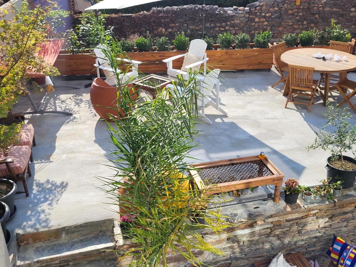 Coja Villa Alva Guest House מראה חיצוני תמונה